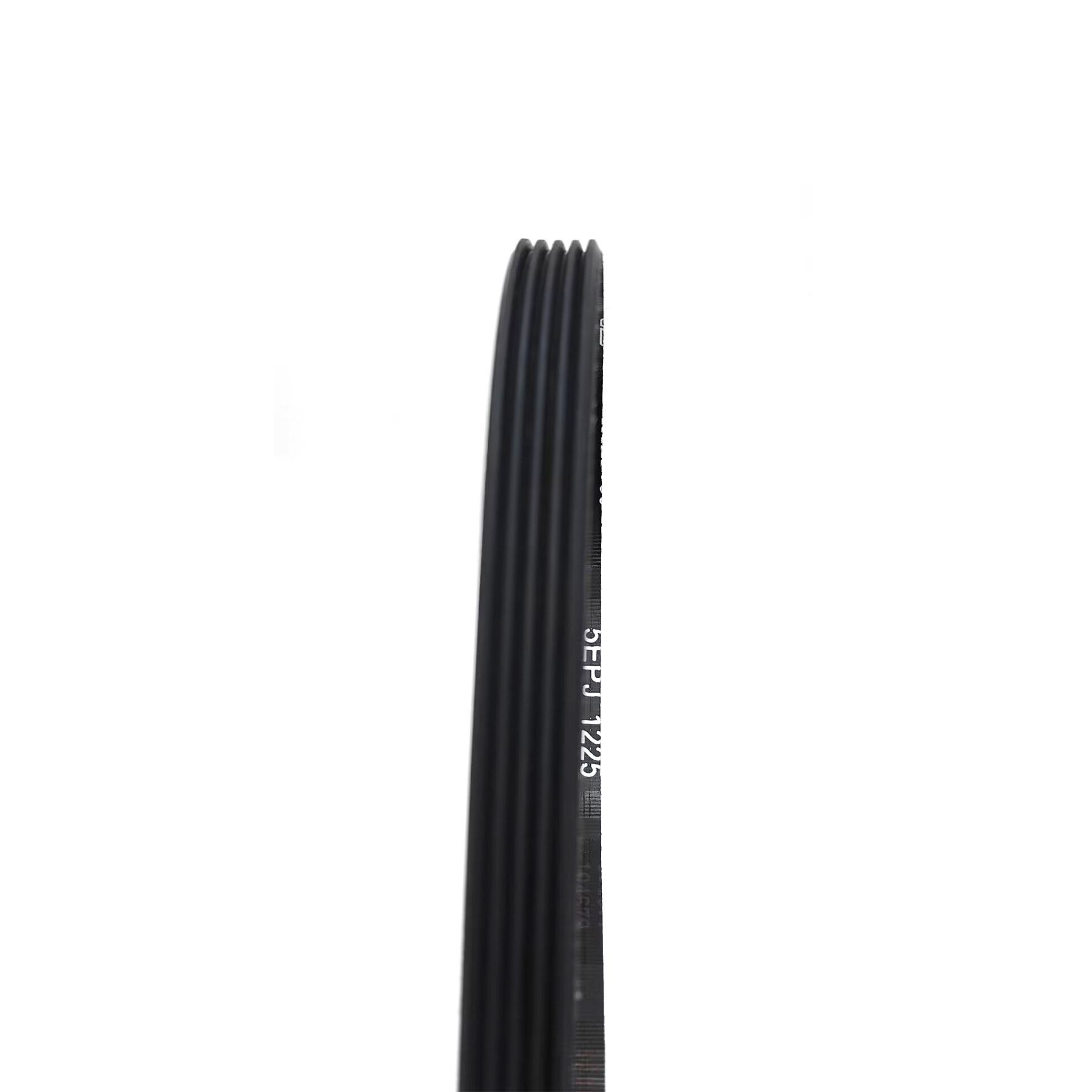 Correa Lavadora 5EPJ1225 Hoover Candy 41021973 41039460 | prologyc.es
