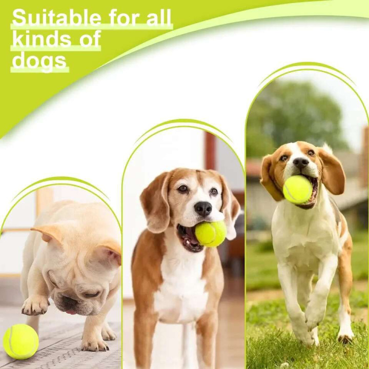 Lanzador automático de pelotas para perros | Prologyc.es